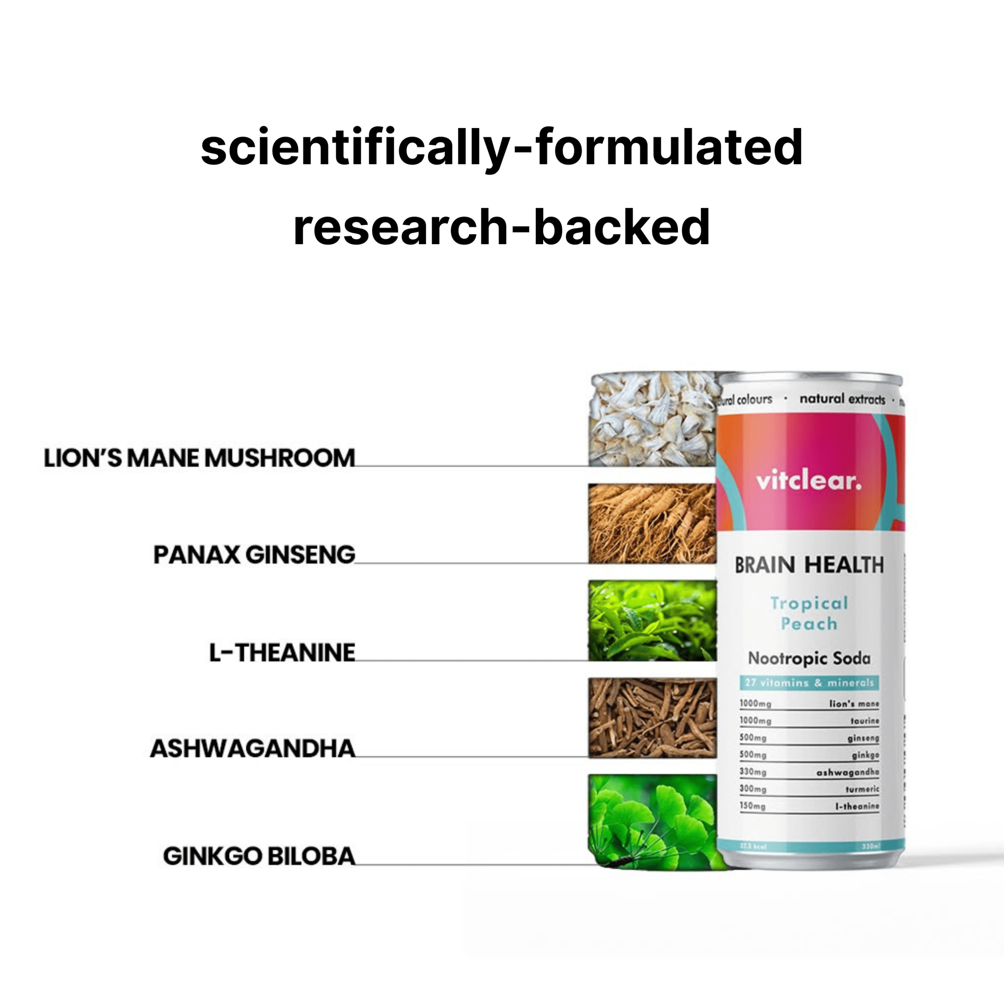 Brain Health Nootropic Soda - Tropical Peach (12 x 330ml) - VitClear